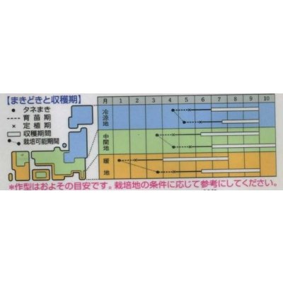 画像2: 送料無料　[ゴーヤ]　島さんご　7ml　タキイ種苗(株)　GF