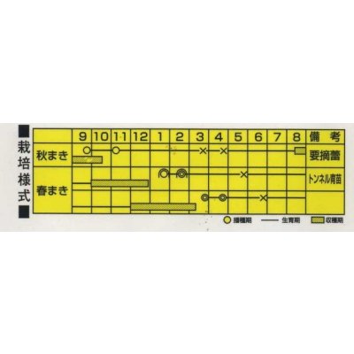 画像2: 送料無料　[ねぎ]　SUKIYAKI　20ml　カネコ種苗（株）