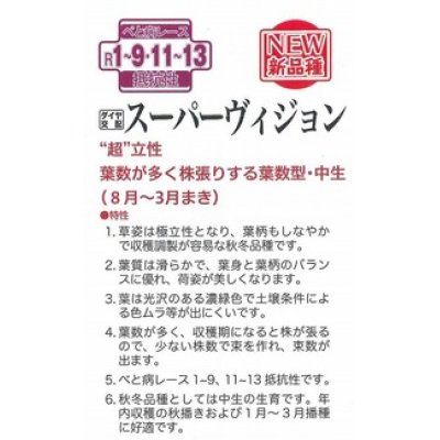 画像3: [ほうれんそう]　スーパーヴィジョン　Mサイズ3万粒　トキタ種苗（株）