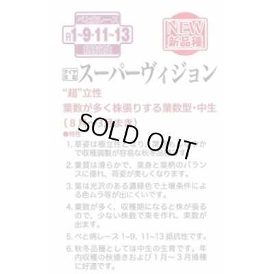 画像3: [ほうれんそう] スーパーヴィジョン 3万粒（種子サイズ：Ｍ） トキタ種苗(株)