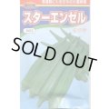 送料無料　[オクラ]　スターエンゼル　200粒　渡辺農事（株）