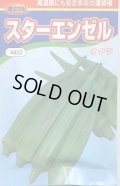 送料無料　[オクラ]　スターエンゼル　200粒　渡辺農事（株）