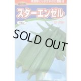 送料無料　[オクラ]　スターエンゼル　200粒　渡辺農事（株）