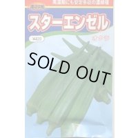 送料無料　[オクラ]　スターエンゼル　200粒　渡辺農事（株）