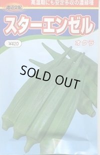 送料無料　[オクラ]　スターエンゼル　200粒　渡辺農事（株）