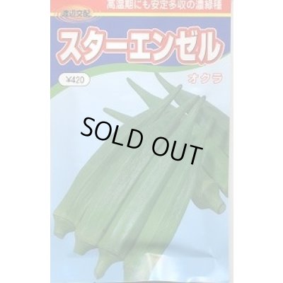 画像1: 送料無料　[オクラ]　スターエンゼル　1000粒　渡辺農事（株）