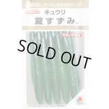 送料無料　[キュウリ]　夏すずみ　100粒　タキイ種苗(株)