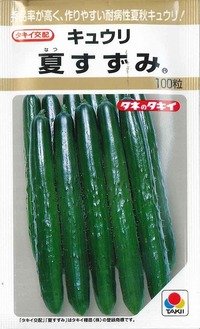 [キュウリ]　夏すずみ　100粒　タキイ種苗（株）