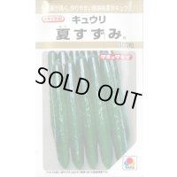 送料無料　[キュウリ]　夏すずみ　100粒　タキイ種苗(株)