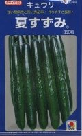 送料無料　[キュウリ]　夏すずみ　350粒　タキイ種苗(株)