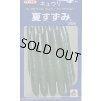 [キュウリ] 夏すずみ 350粒 タキイ種苗(株)
