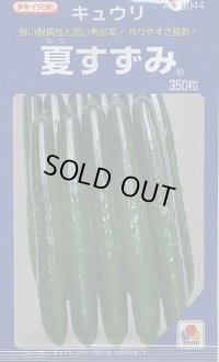 [キュウリ] 夏すずみ 350粒 タキイ種苗(株)