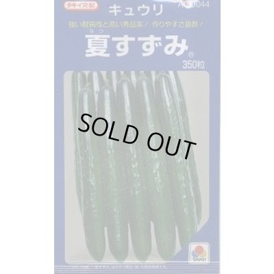 画像1: 送料無料　[キュウリ]　夏すずみ　350粒　タキイ種苗(株)