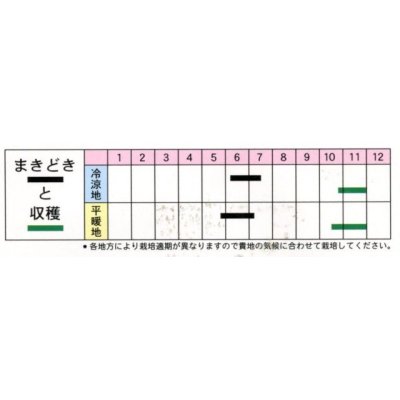 画像3: [枝豆]　丹波の黒大粒大豆　1L　（株）タカヤマシード