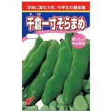 [そら豆]　千倉一寸　1L　渡辺農事（株）