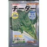 [ほうれんそう]　チーター　3万粒　カネコ種苗（株）