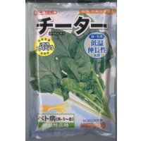 [ほうれんそう]　チーター　3万粒　カネコ種苗（株）