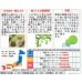 画像2: 送料無料　特大ひょうたん　約6粒　(株)サカタのタネ　実咲250（002866） (2)