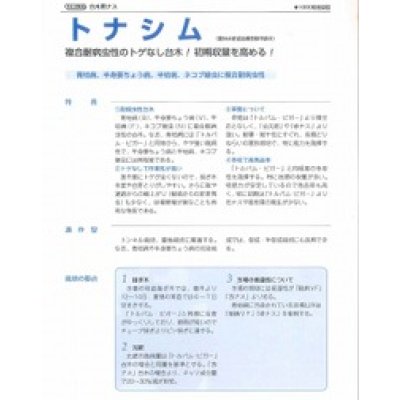 画像2: 送料無料　[台木/ナス用]　トナシム　1000粒　タキイ種苗(株)