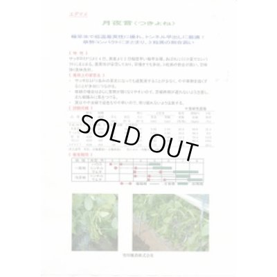 画像2: 送料無料　[枝豆]　月夜音　70ml(およそ160粒)　雪印種苗(株)