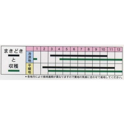 画像2: [春菊]　中葉春菊　1L