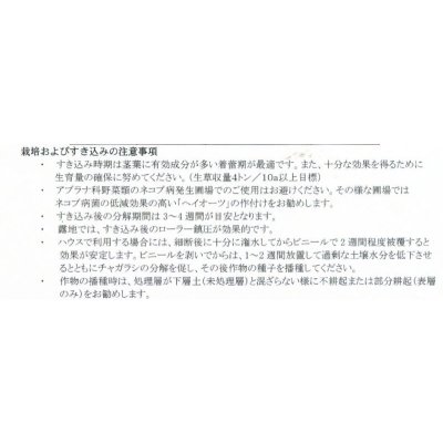 画像4: [緑肥]　チャガラシ　辛神　500g　雪印種苗(株)