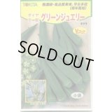 送料無料　[オクラ]　グリーンジュエリー　100粒　トキタ種苗(株)