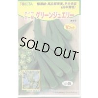 送料無料　[オクラ]　グリーンジュエリー　40粒　トキタ種苗(株)