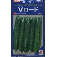 [キュウリ]　Vロード  350粒　タキイ種苗（株）