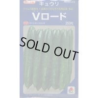 送料無料 [キュウリ] Vロード 350粒 タキイ種苗(株)
