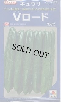 送料無料 [キュウリ] Vロード 350粒 タキイ種苗(株)