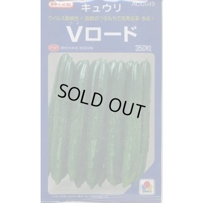 画像1: 送料無料 [キュウリ] Vロード 350粒 タキイ種苗(株)