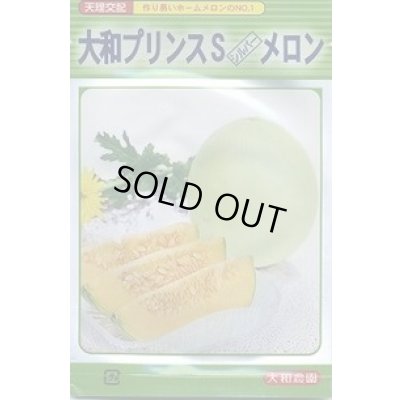 画像1: 送料無料　[メロン]　大和プリンスＳメロン　10粒　大和農園