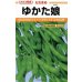 画像1: [枝豆]　ゆかた娘　100粒　カネコ種苗 (1)