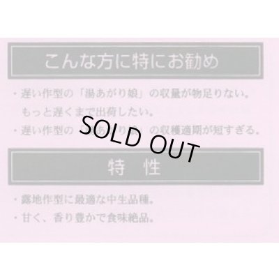 画像3: 送料無料　[枝豆]　ゆかた娘　100粒　カネコ種苗