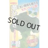 送料無料　[ブロッコリー]　夢ひびき　0.7ml(約90粒)　ナント種苗(株)
