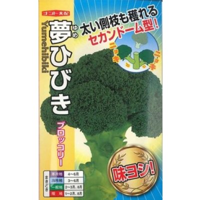 画像1: 送料無料　[ブロッコリー]　夢ひびき　0.7ml(約90粒)　ナント種苗(株)