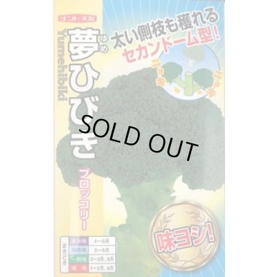 画像1: 送料無料　[ブロッコリー]　夢ひびき　0.7ml(約90粒)　ナント種苗(株)