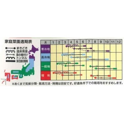 画像2: [ブロッコリー]　夢ひびき　0.7ml（約90粒）　ナント種苗（株）