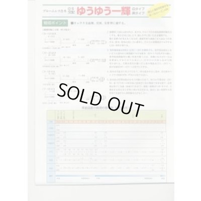 画像3: [台木/キュウリ用] ゆうゆう一輝(黒種) 20粒 （株）埼玉原種育成会