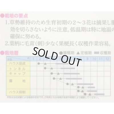 画像2: 送料無料　[ズッキーニ]　ゼルダ・ネロ　100粒　トキタ種苗(株)