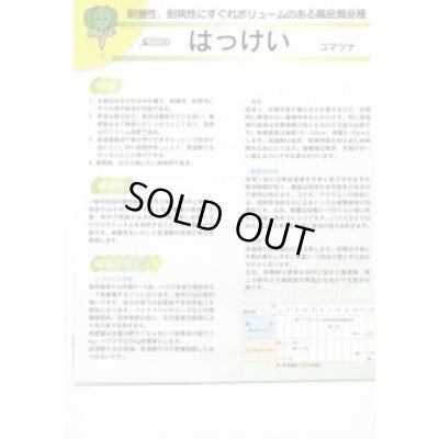 画像3: 送料無料　[小松菜]　はっけい　20ml　（株）サカタのタネ