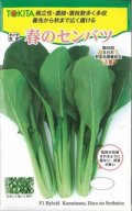送料無料　[小松菜]　春のセンバツ　10ml　トキタ種苗(株)
