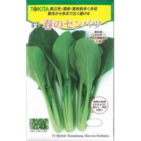 [小松菜]　春のセンバツ　10ml　トキタ種苗