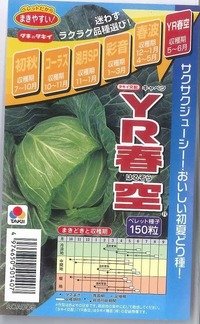 [キャベツ]　YR春空　150粒 ペレット種子　タキイ種苗（株）