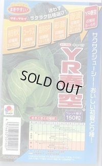 送料無料 [キャベツ] YR春空 150粒 ペレット種子 タキイ種苗(株)