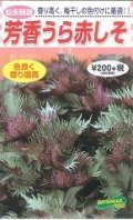 送料無料　[葉物]　赤しそ　芳香うら赤しそ　5ml　松永種苗(株)
