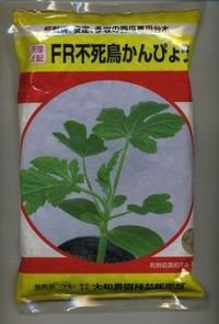 [台木/スイカ用]　ＦＲ不死鳥かんぴょう　2000粒　大和農園
