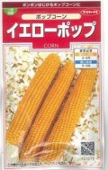送料無料　[とうもろこし]　ポップコーン　イエローポップ　約75粒　(株)サカタのタネ　実咲350（002892）