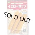 送料無料　[とうもろこし]　ポップコーン　イエローポップ　約75粒　(株)サカタのタネ　実咲350（002892）